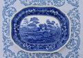 Blue and white platter